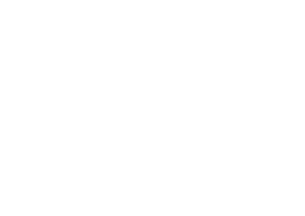 Ideallinie